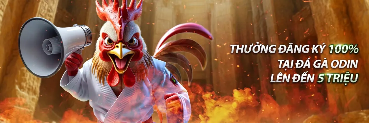 Hình ảnh lớn cho phần câu hỏi thường gặp của win69 đăng nhập